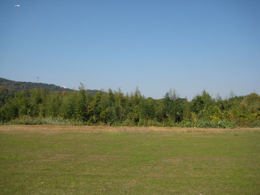 b0126649_18124136.jpg
