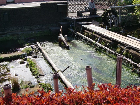 e0103957_2015539.jpg