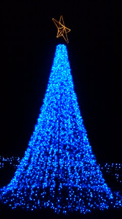 d0045362_2014875.jpg