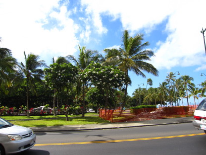d0054865_2011022.jpg