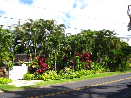 d0054865_20152667.jpg