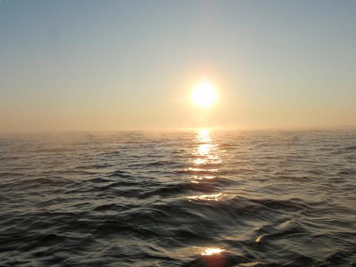 e0108765_2164238.jpg
