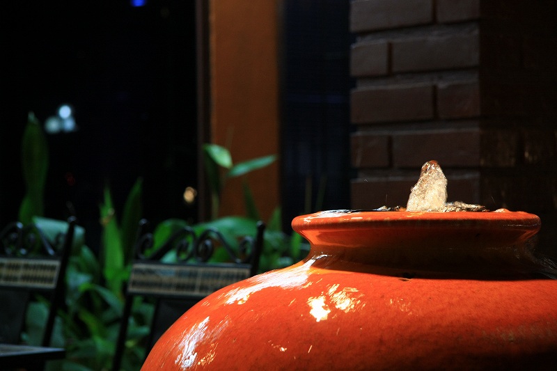 c0134569_133174.jpg