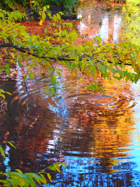 c0122670_1827216.jpg