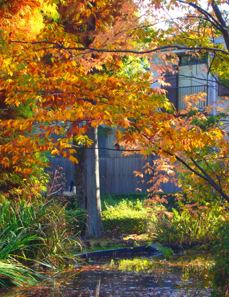 c0122670_1828529.jpg