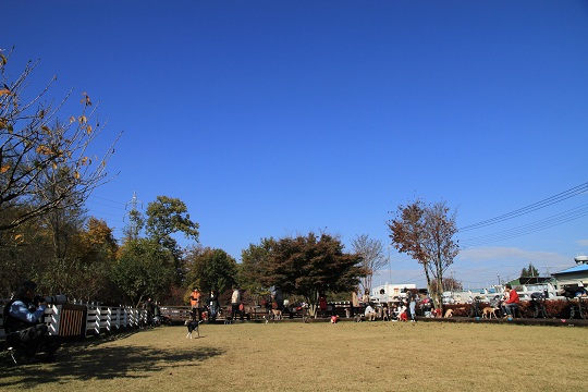 e0062371_21162053.jpg