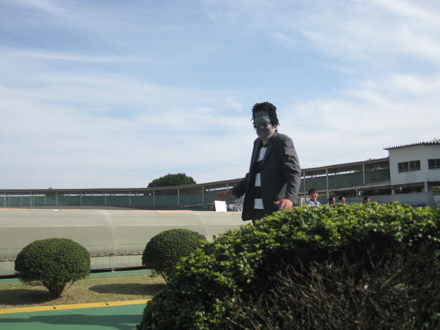 e0168877_840579.jpg