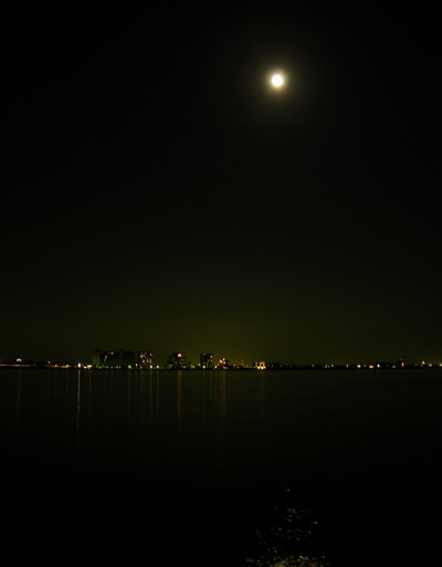 c0197578_843508.jpg