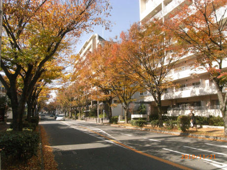 b0002879_1525178.jpg