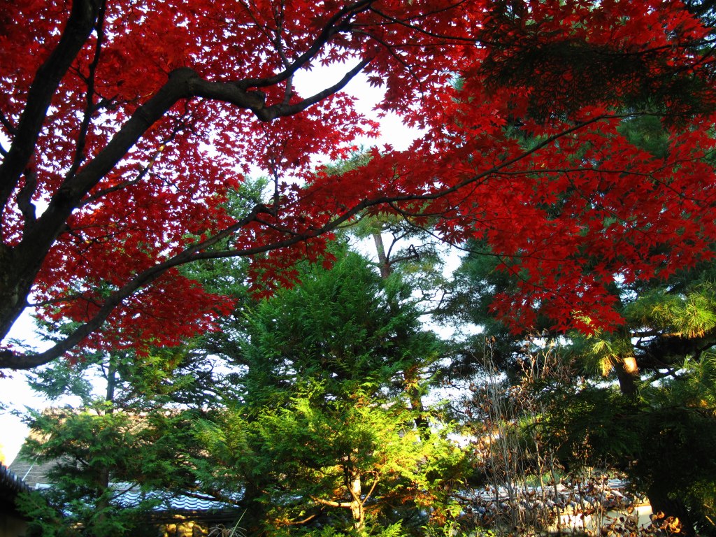 a0004180_21215941.jpg