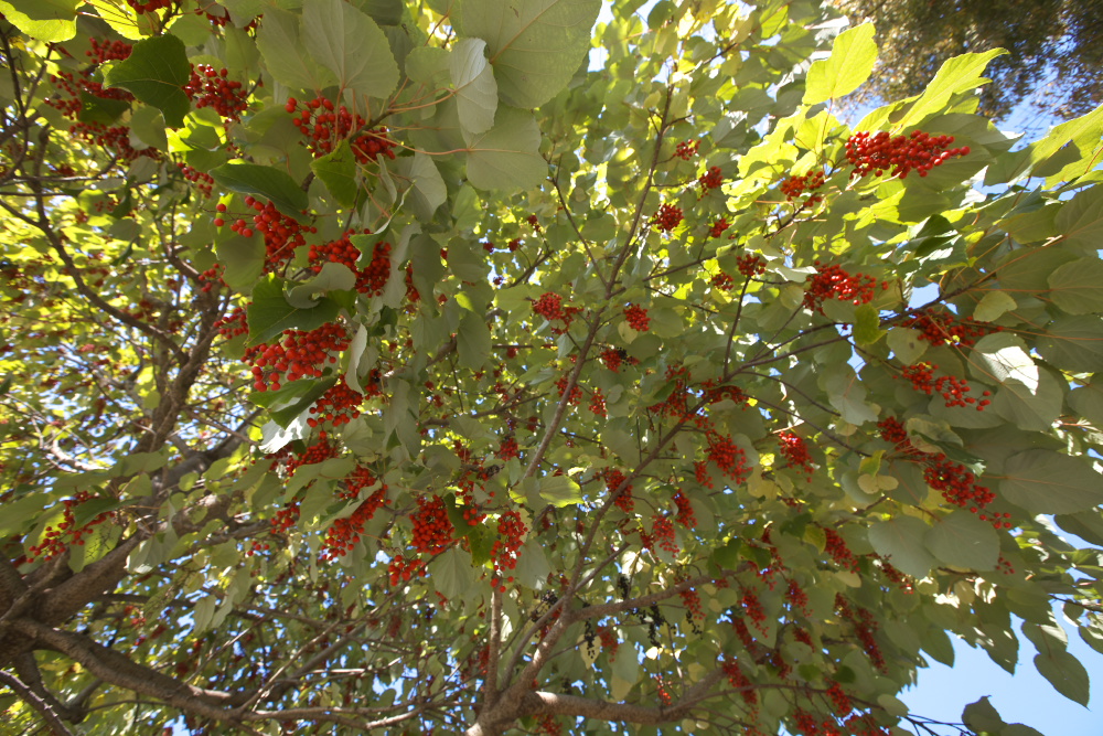 a0083081_15484923.jpg