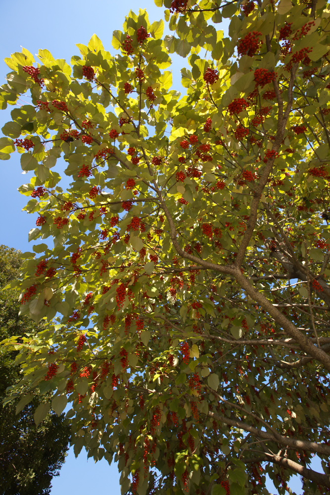 a0083081_15491617.jpg