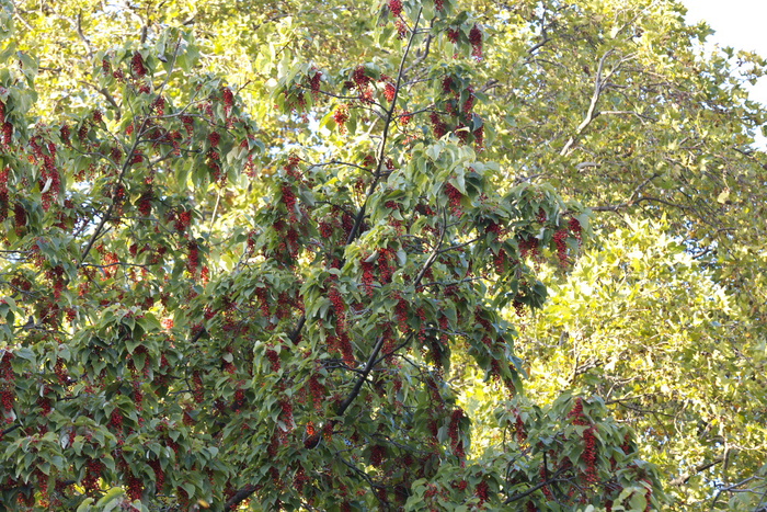 a0083081_15501637.jpg