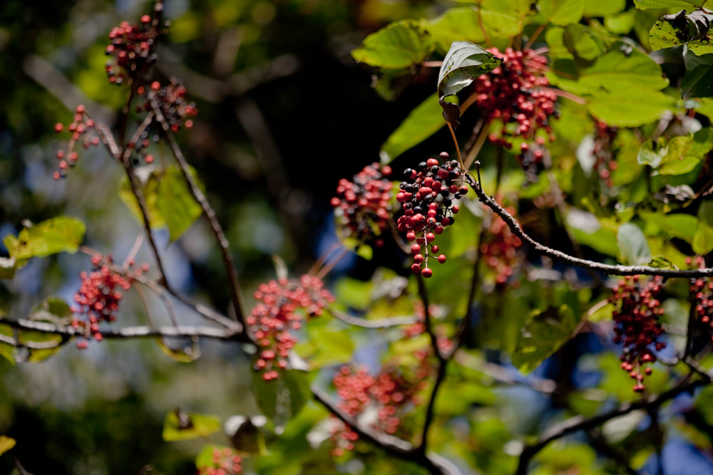 a0083081_15502763.jpg