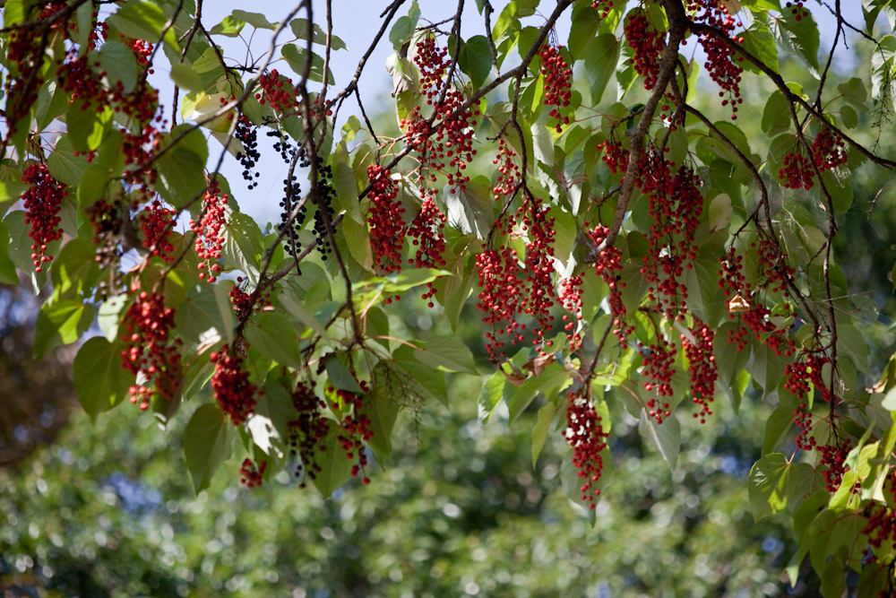 a0083081_1550386.jpg