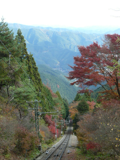 e0145782_15291830.jpg