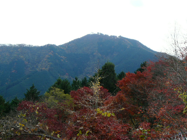 e0145782_15294916.jpg