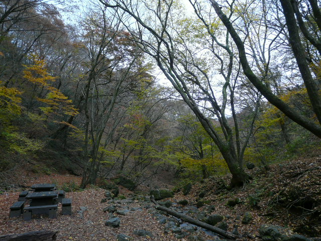 e0145782_1532383.jpg