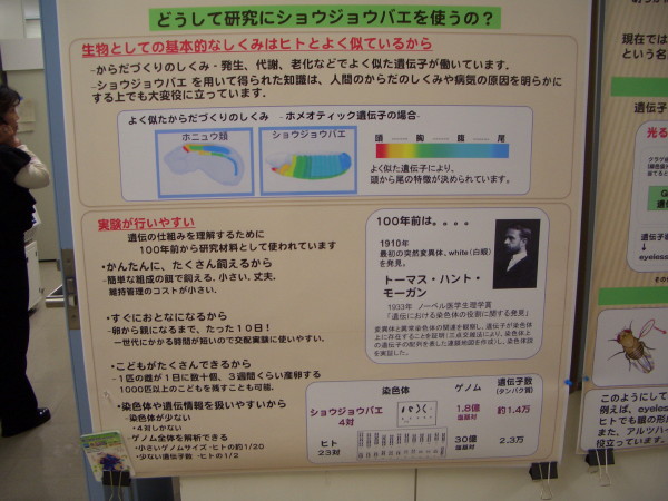 b0118987_714860.jpg