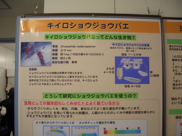 b0118987_72448.jpg