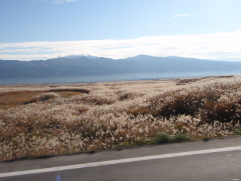 c0146788_1603416.jpg