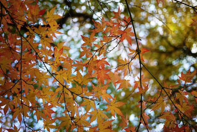 a0127090_19202741.jpg