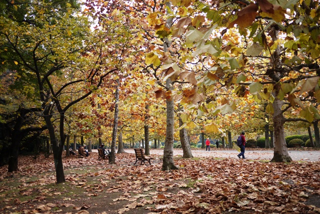 a0127090_19255821.jpg