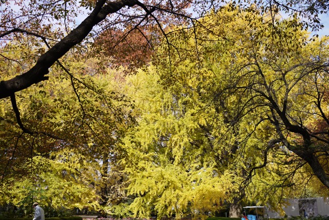 a0127090_1985849.jpg