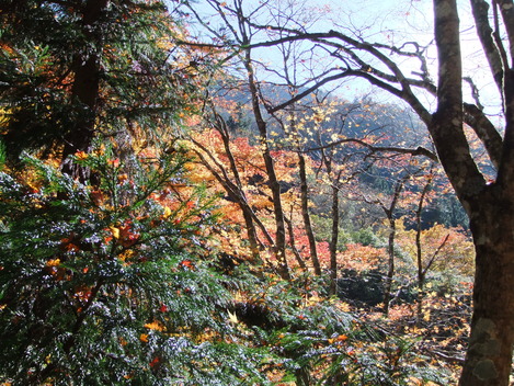 e0177792_19203274.jpg