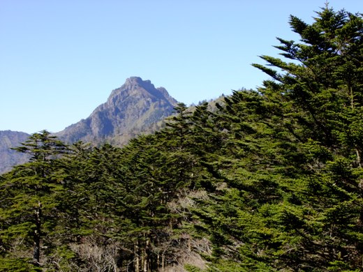 e0177792_1925586.jpg