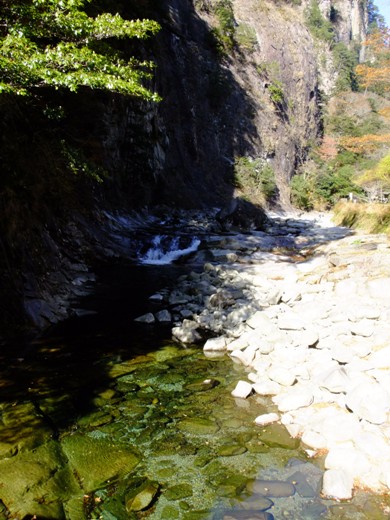 e0177792_1929548.jpg