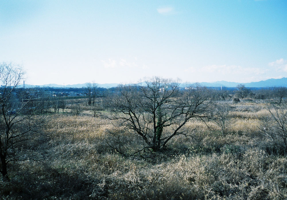 e0216492_3262189.jpg