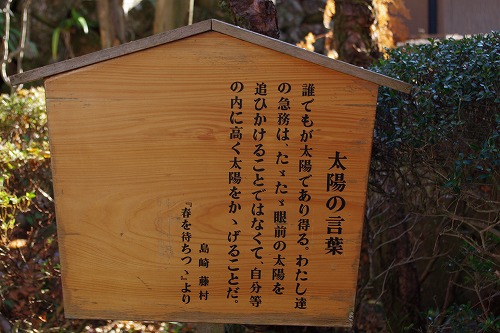 b0119493_20123629.jpg