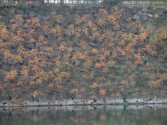 b0044296_9585530.jpg