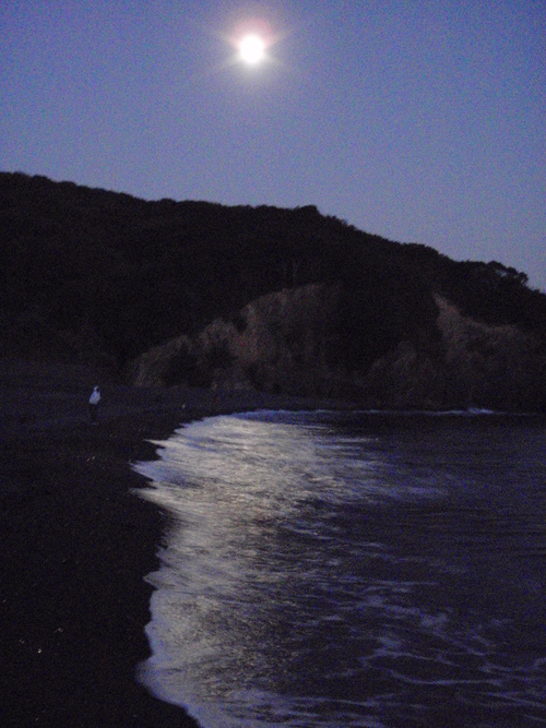 f0213796_12302271.jpg