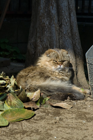 f0239100_9342718.jpg