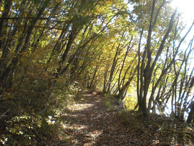 e0163202_20293140.jpg