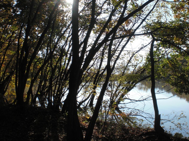e0163202_2034538.jpg