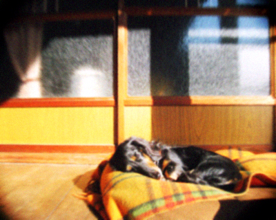 d0077603_10504675.jpg
