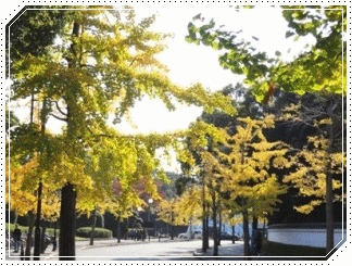 d0018704_14433366.gif