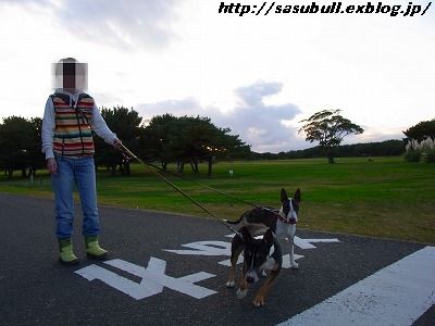 e0145805_18591131.jpg