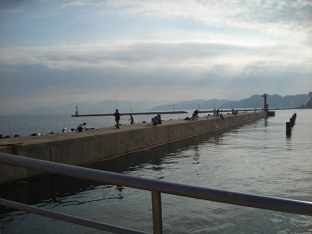 a0142107_8413517.jpg