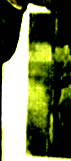 e0103408_14154670.gif