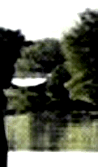 e0103408_14274410.gif