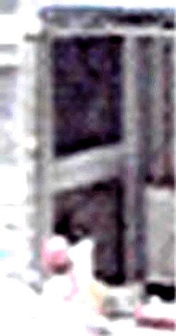 e0103408_22523494.gif