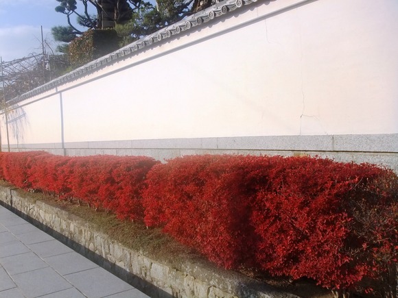 d0007913_0235518.jpg