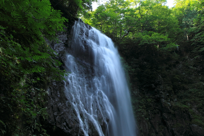 e0121814_040129.jpg