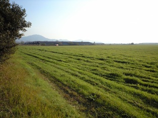 f0207016_045231.jpg