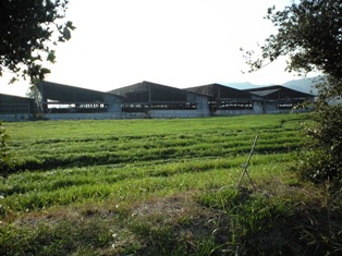 f0207016_0472327.jpg