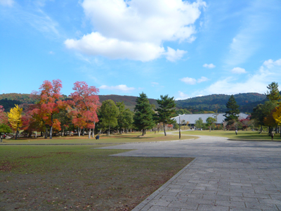 b0019820_18244382.jpg